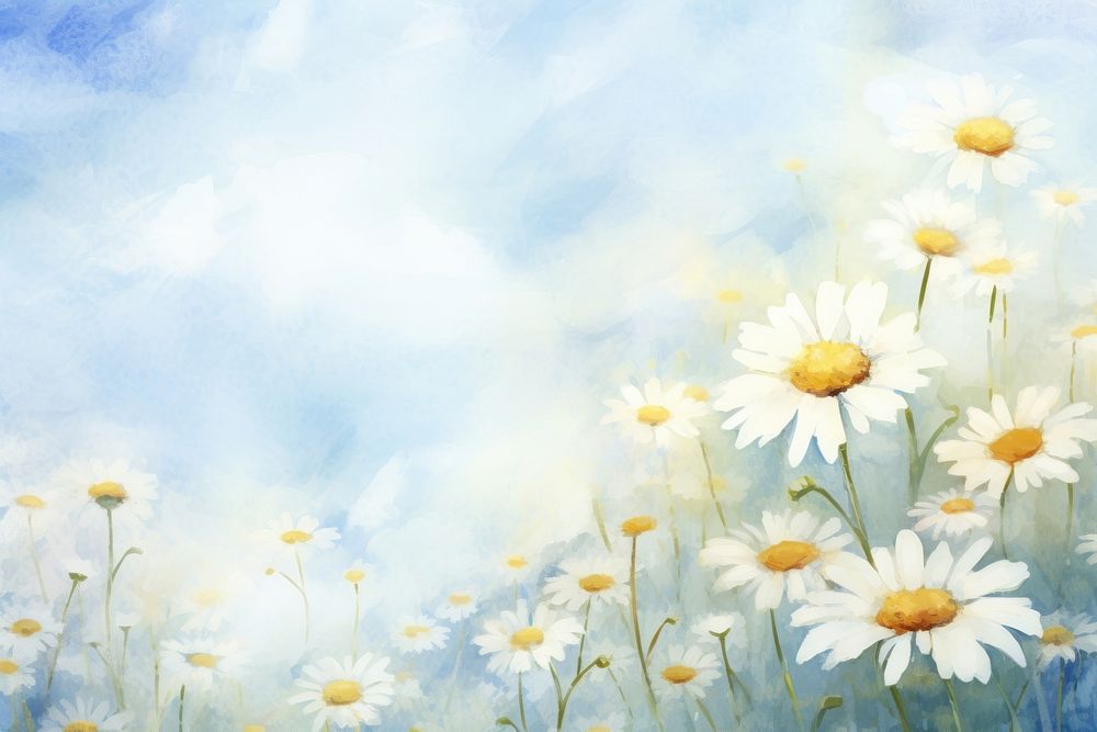 Vintage chamomile flowers backgrounds outdoors nature.