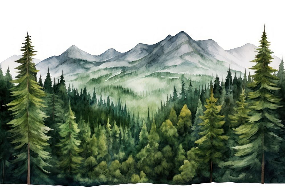 Forest mountain wilderness landscape.