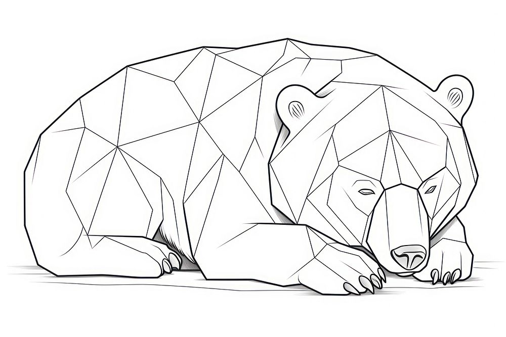 Bear sleeping sketch drawing animal.