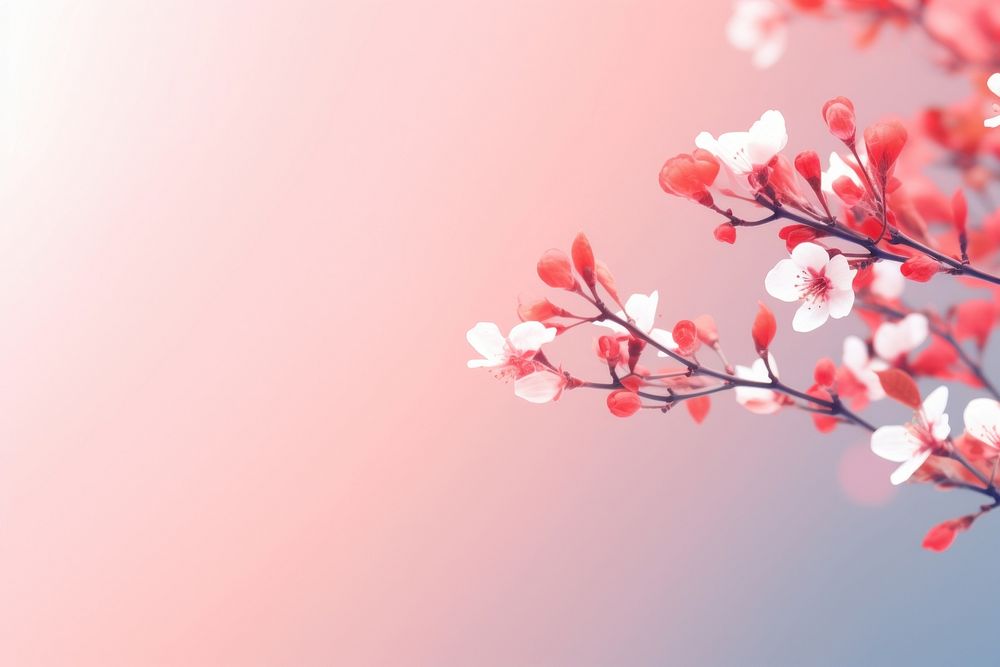 Abstract background backgrounds outdoors blossom.