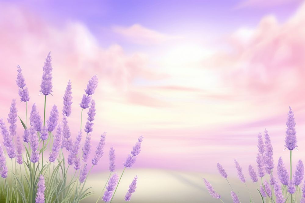 Painting of lavender backgrounds outdoors nature.