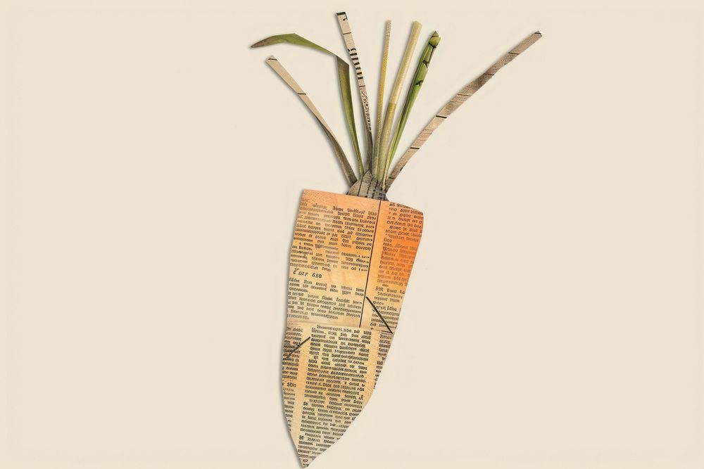 Paper carrot plant art vegetable.