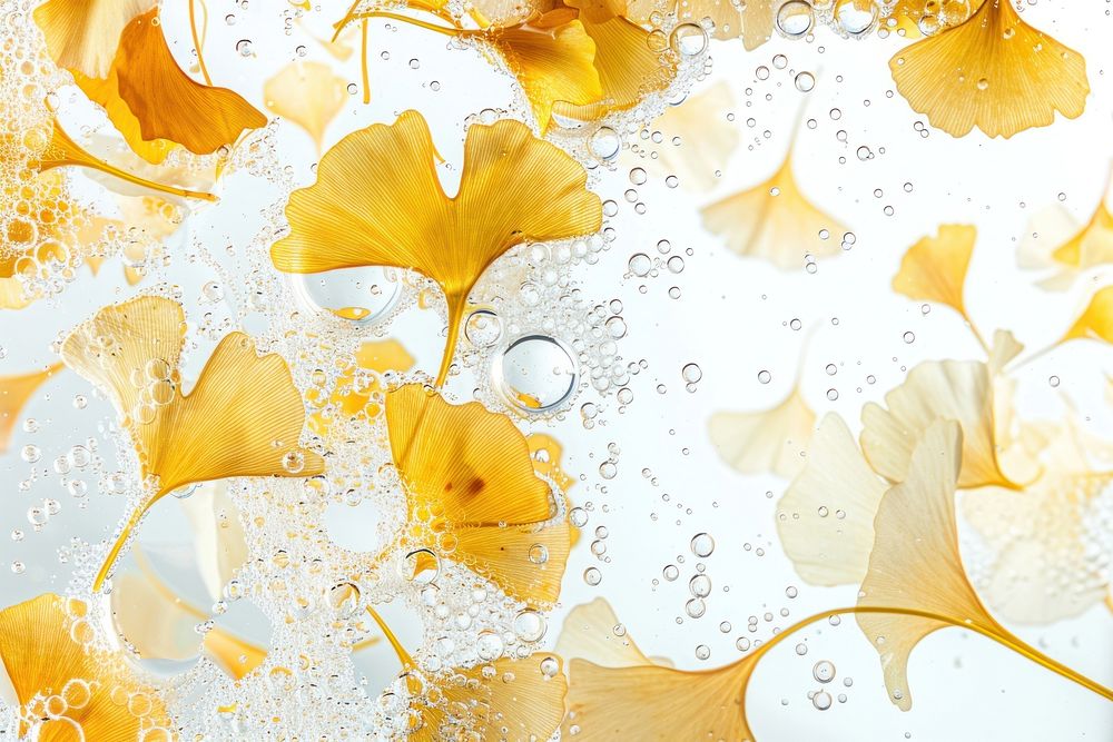 Ginkgo leaves oil bubble backgrounds petal plant.
