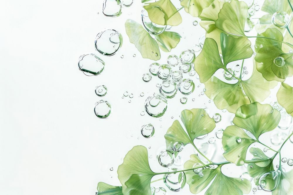 Ginkgo leaves oil bubble green backgrounds pattern.