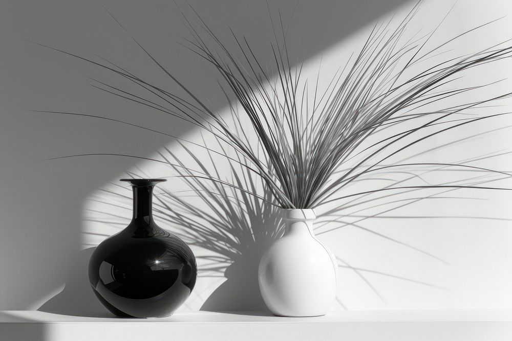 Interior design plant vase monochrome.