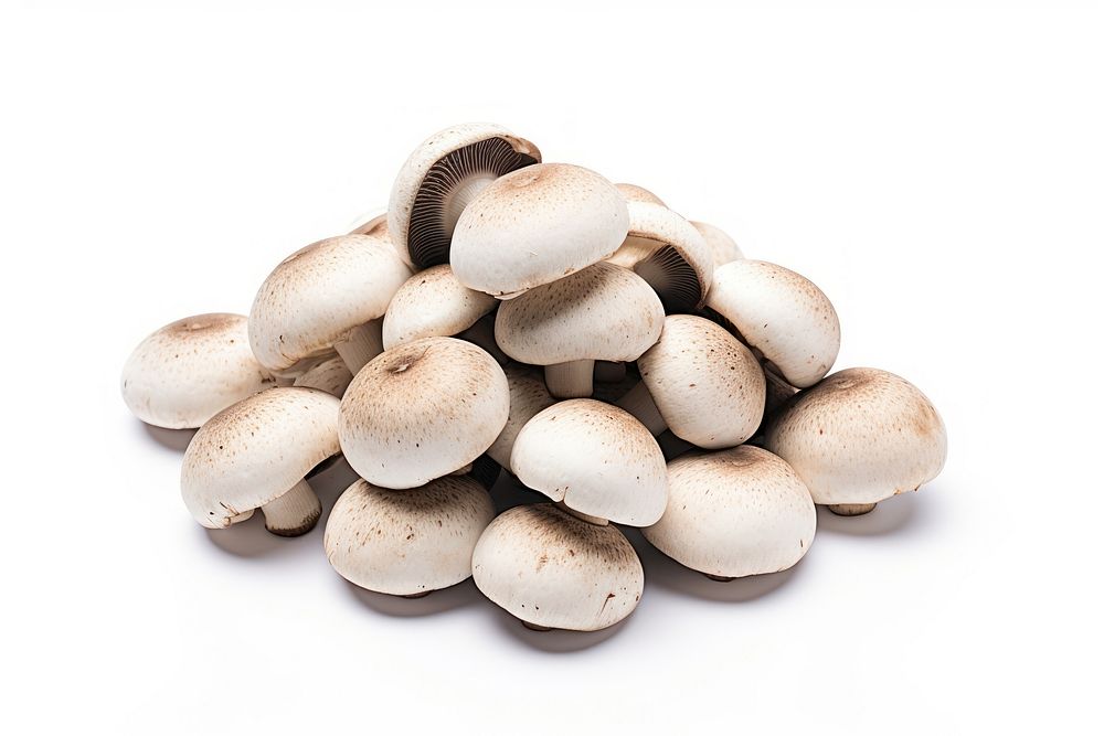 Pile champagne mushrooms white background agaricaceae vegetable.