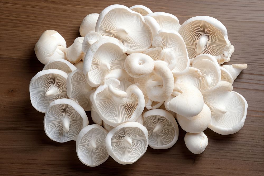 Pile white mushrooms fungus wood agaricaceae.