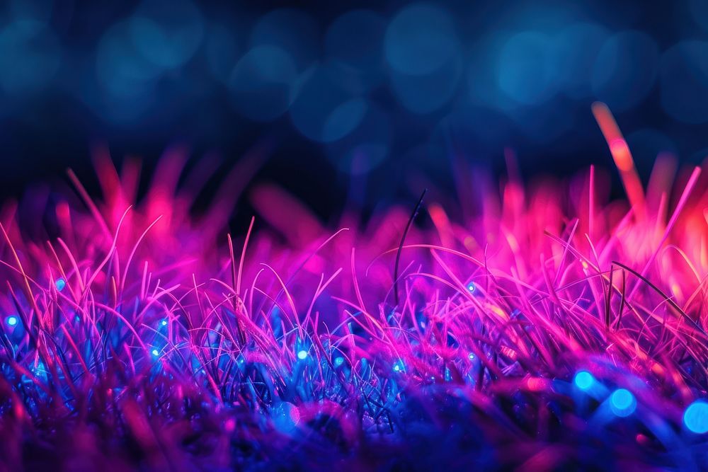 Bioluminescence grass border background light backgrounds outdoors.