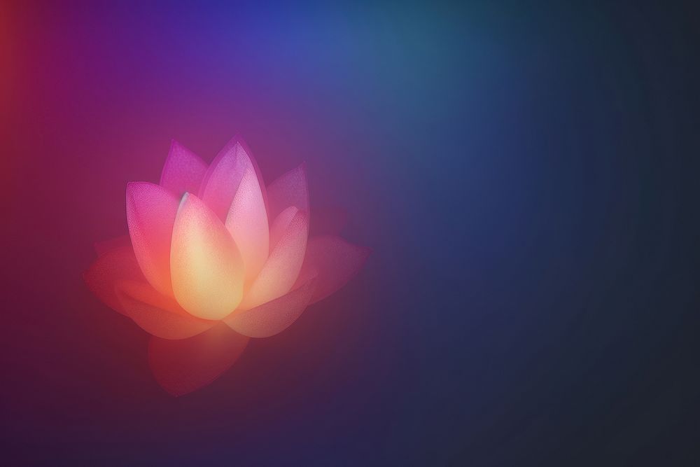Lotus lobe shaped backgrounds flower purple.