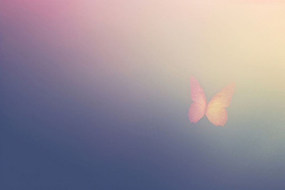 Butterfly flying shaped backgrounds sunlight outdoors.