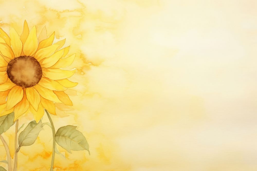 Sunflower background backgrounds plant paper.