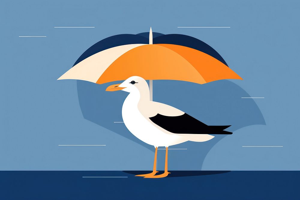 Seagull bird waterfowl umbrella.