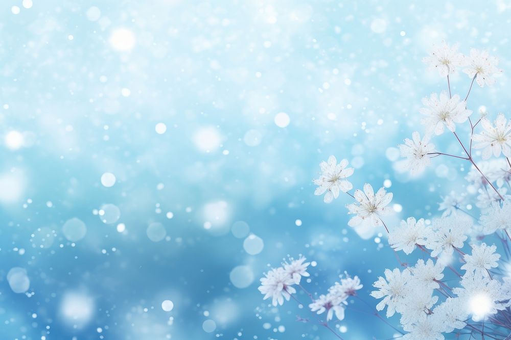 Nature background nature flower snow.