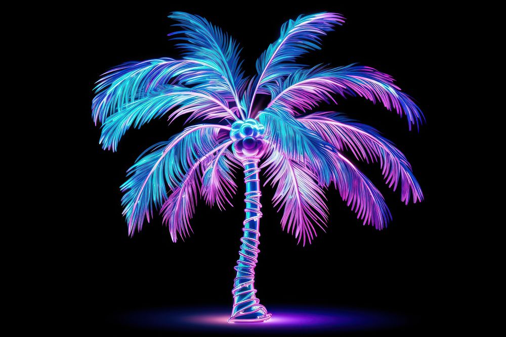 Palm tree purple plant light.