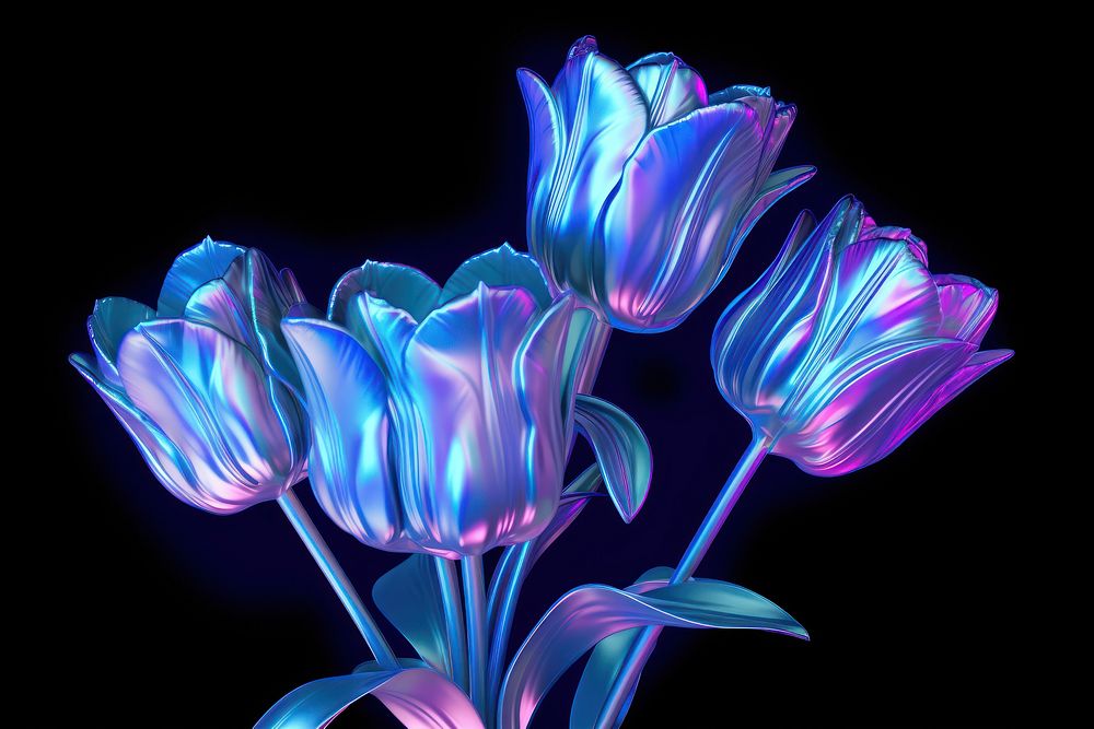 Tulips flower plant light.