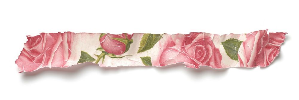 Horizontal rose pattern paper strip tape flower petal plant.