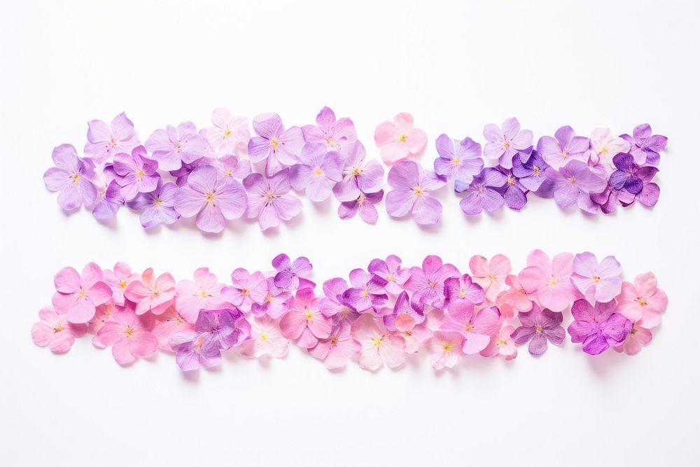Flowers glitter paper adhesive strip purple petal lilac.