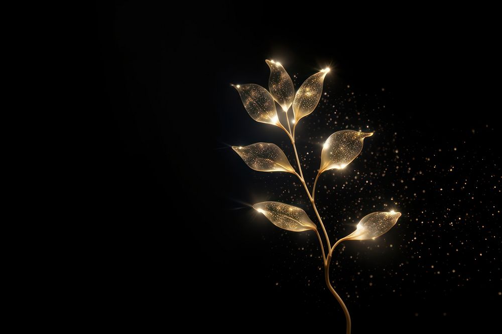 Little plant sparkle light glitter fireworks lighting nature.