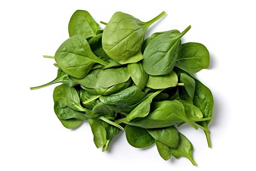 Spinach vegetable plant food.