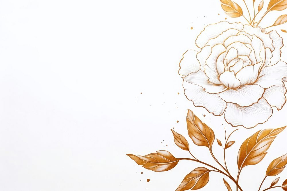 Peony frame drawing sketch backgrounds.