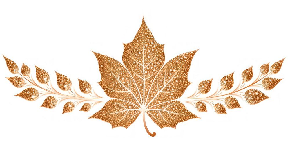 Maple leave divider ornament plant leaf white background.