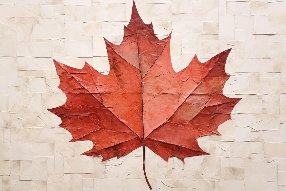 Maple leaf plant tree art.