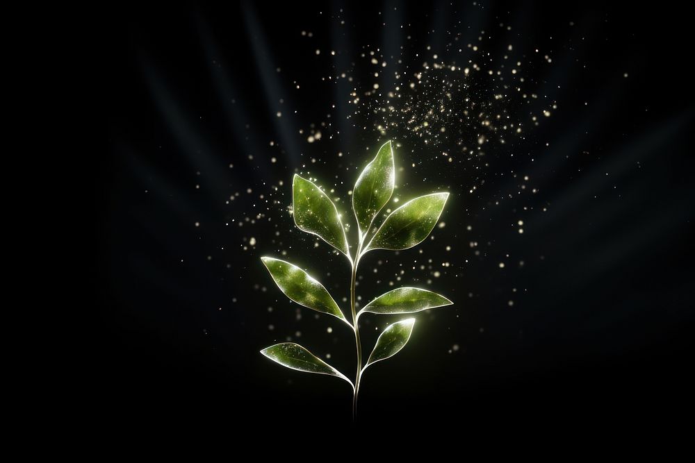 Plant shape sparkle light glitter outdoors nature leaf.