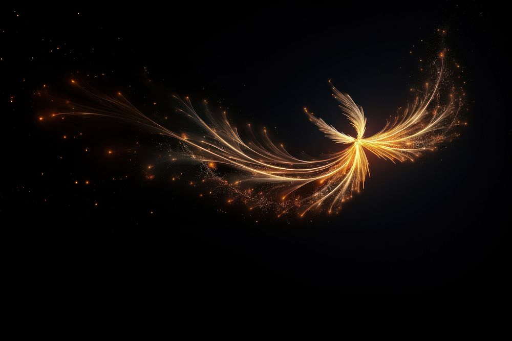 Phoenix bird flying sparkle light fireworks sparks nature.