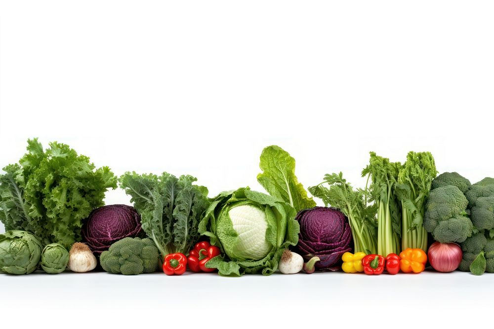 Vegetable border broccoli plant food.