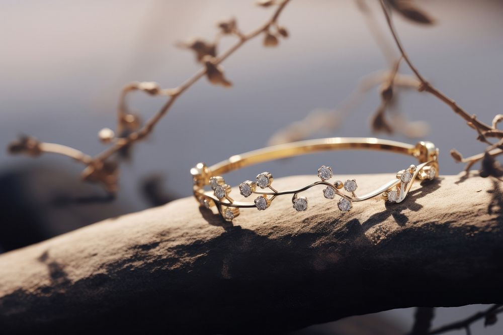 Bracelet jewelry diamond accessories.
