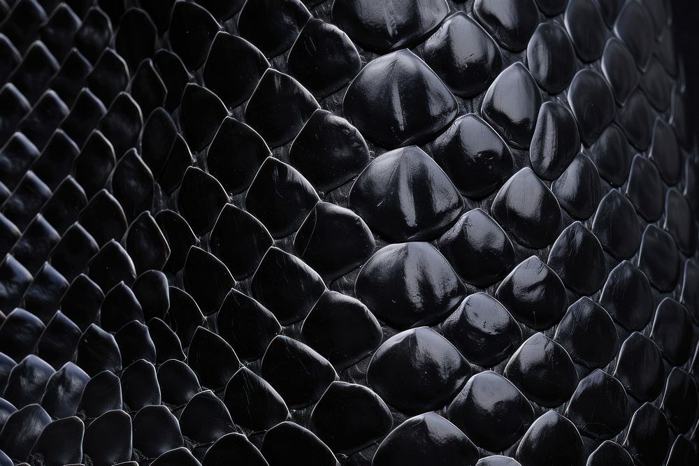 Snake skin texture black backgrounds repetition.