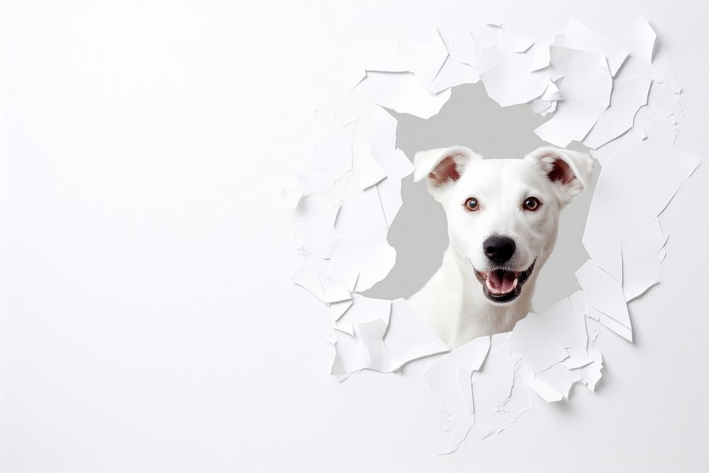 Torn strip of dog paper mammal animal white.