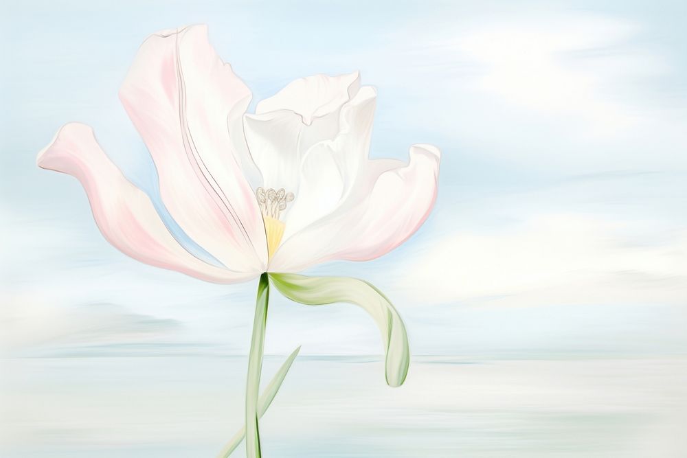 Painting of tulip blossom flower petal.