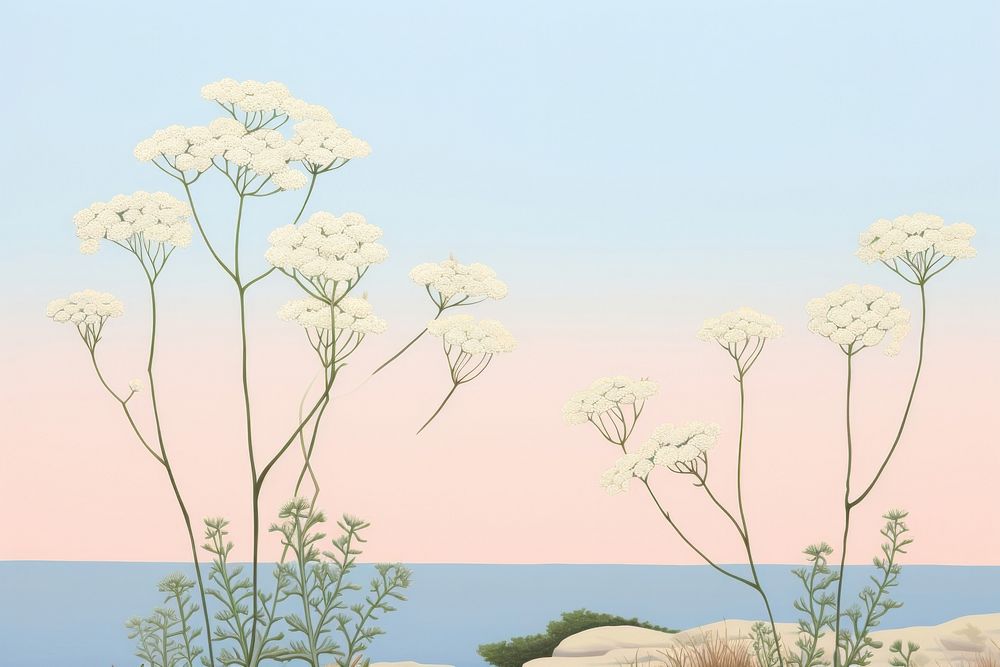 Painting of achillea outdoors flower plant.