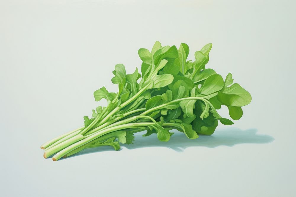 Painting of arugula vegetable plant food.