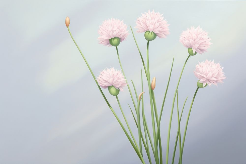 Painting of chives flower petal plant.