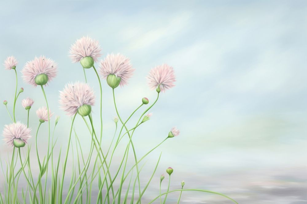 Painting of chives outdoors blossom flower.