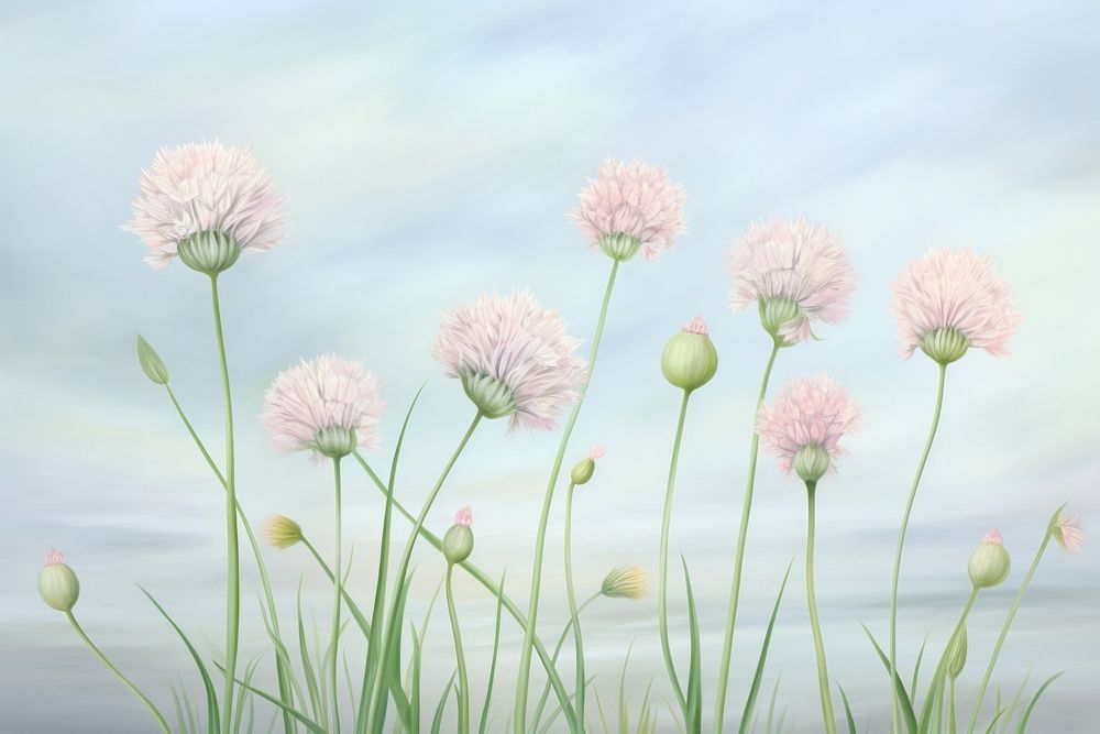 Painting of chives outdoors flower plant.