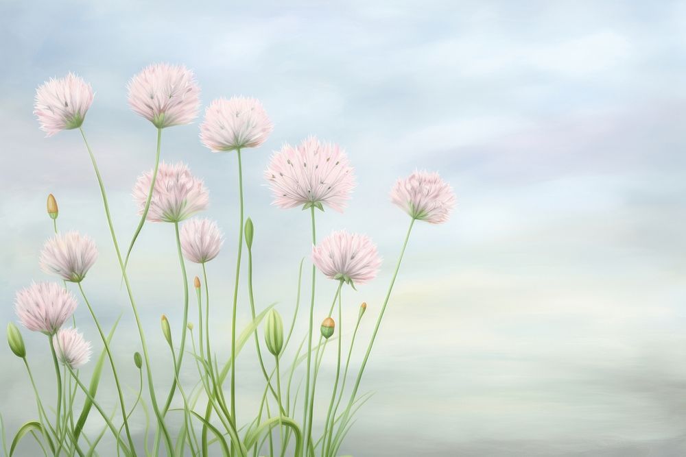 Painting of chives outdoors blossom flower.