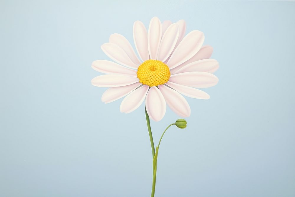 Painting of daisy flower petal plant.