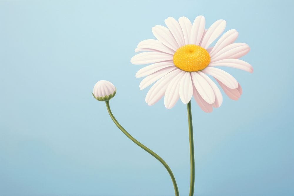 Painting of daisy flower petal plant.