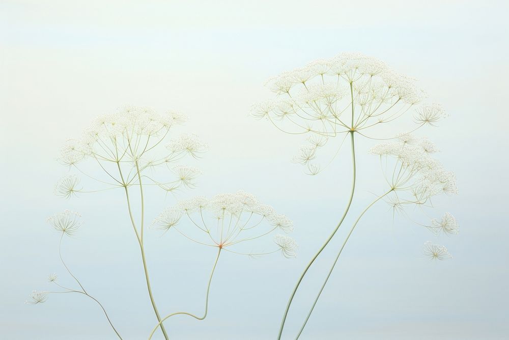 Painting of dill flower plant tranquility.