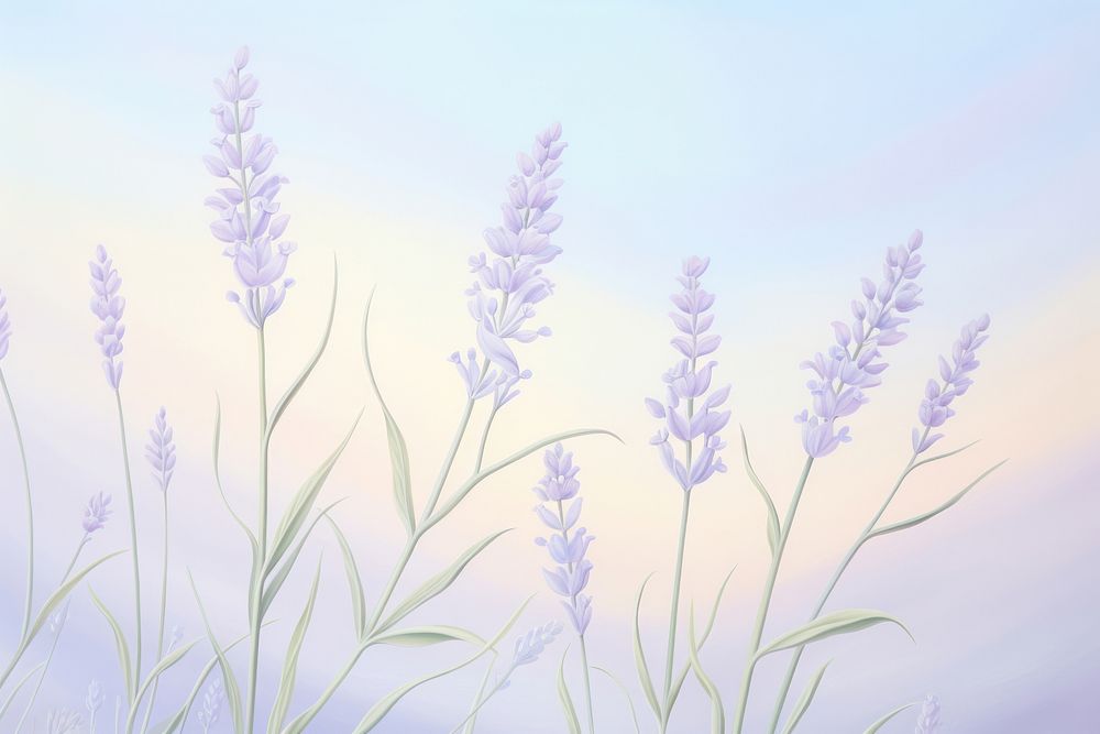 Painting of super close-up lavender backgrounds outdoors nature.