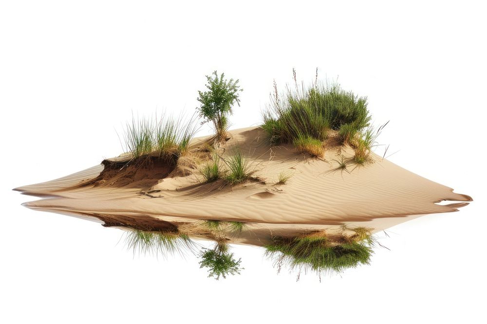 Outdoors nature desert dune.