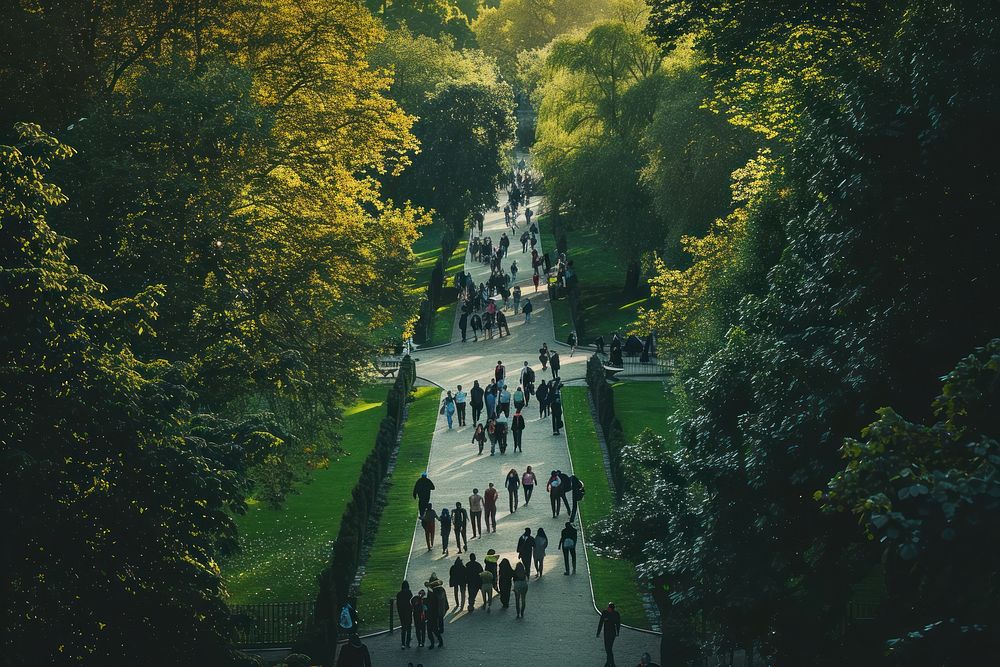 Crowd walking in a beautiful green park outdoors nature forest.