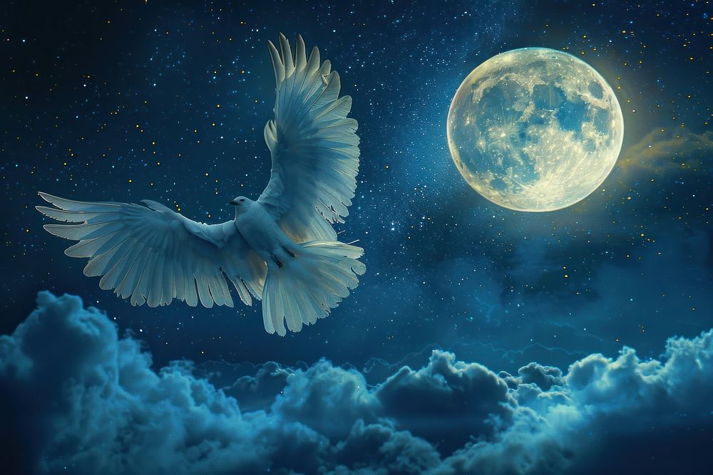 Angel wings on night blue sky astronomy outdoors fantasy.