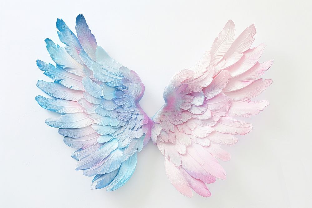 Angel wings bird creativity fragility.