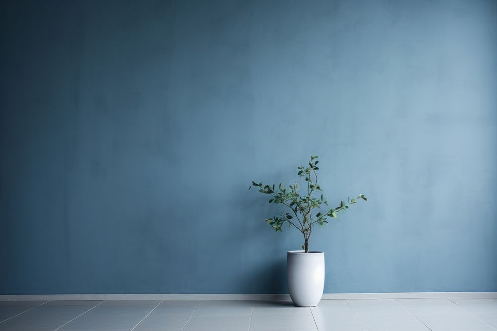 Blue wall architecture plant.
