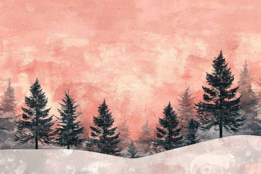 Pine trees backgrounds outdoors nature.