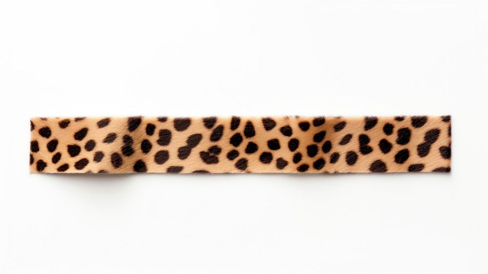 Leopard print pattern adhesive strip white background accessories carnivora.